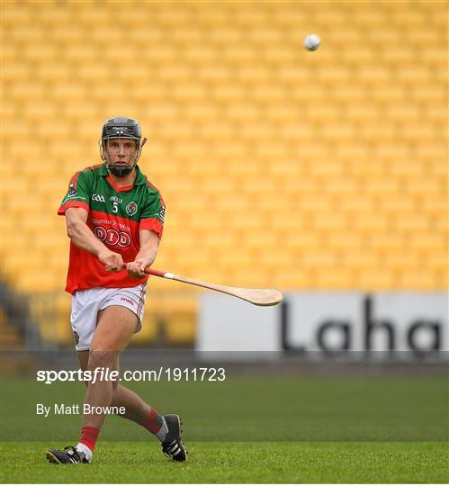 James Stephens v Danesfort - Kilkenny County Senior Hurling League Group A James Stephens v Danesfort - Kilkenny County Senior Hurling League Group A