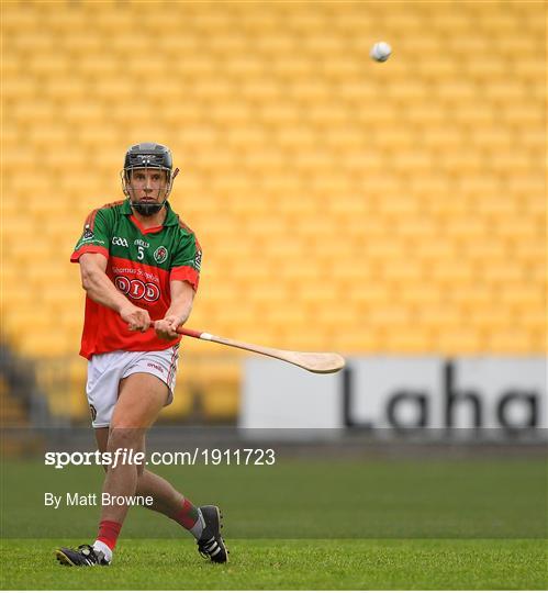 James Stephens v Danesfort - Kilkenny County Senior Hurling League Group A