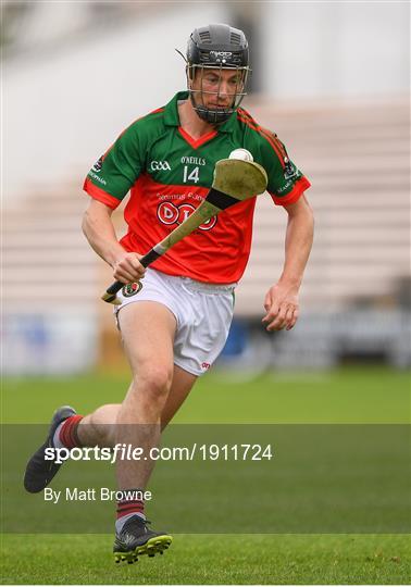 James Stephens v Danesfort - Kilkenny County Senior Hurling League Group A James Stephens v Danesfort - Kilkenny County Senior Hurling League Group A