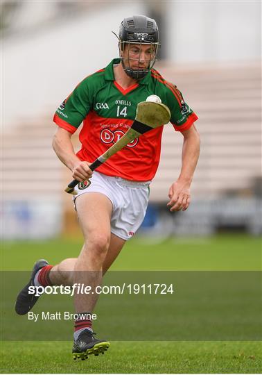 James Stephens v Danesfort - Kilkenny County Senior Hurling League Group A