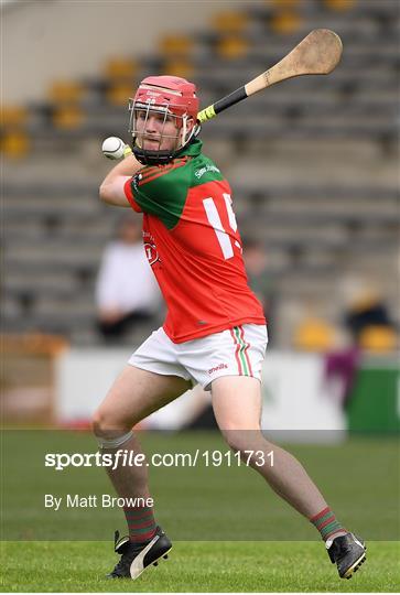 James Stephens v Danesfort - Kilkenny County Senior Hurling League Group A James Stephens v Danesfort - Kilkenny County Senior Hurling League Group A