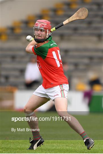 James Stephens v Danesfort - Kilkenny County Senior Hurling League Group A