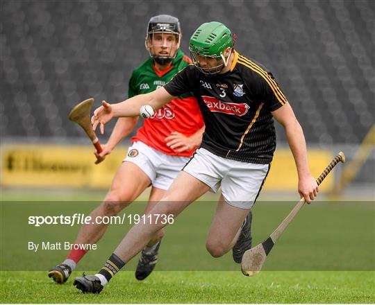 James Stephens v Danesfort - Kilkenny County Senior Hurling League Group A