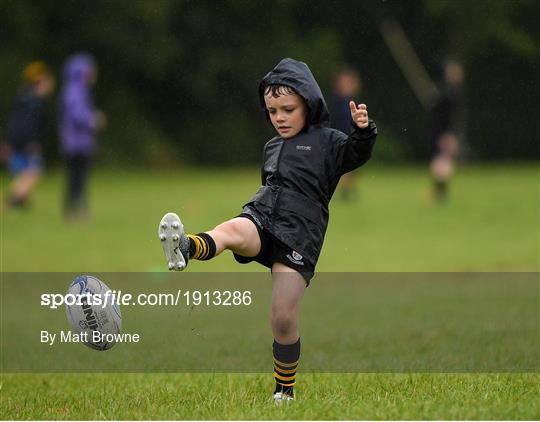 Bank of Ireland Leinster Rugby Summer Camp - Newbridge