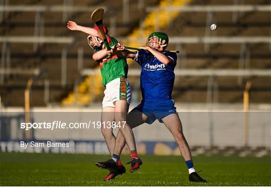 Loughmore - Castleiney v Thurles Sarsfields - Tipperary County Senior Hurling Championship Group 3 Round 2