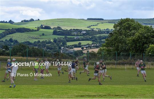 Newtownshandrum v Blackrock - Cork County Senior Hurling Championship Group B Round 2