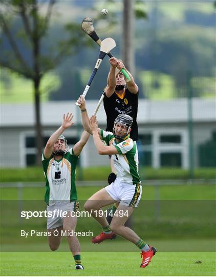 Newtownshandrum v Blackrock - Cork County Senior Hurling Championship Group B Round 2