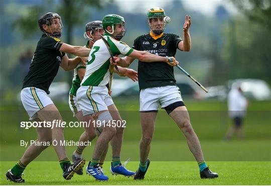 Newtownshandrum v Blackrock - Cork County Senior Hurling Championship Group B Round 2