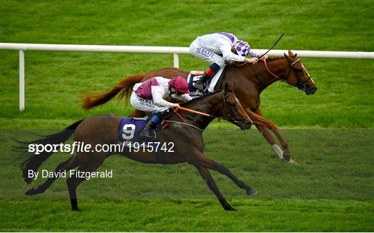 Horse Racing from Leopardstown