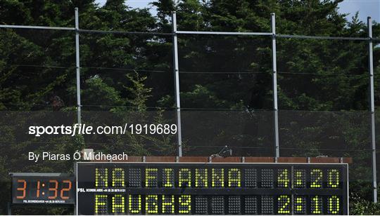 Na Fianna v Faughs - Dublin County Senior A Hurling Championship Quarter-Final