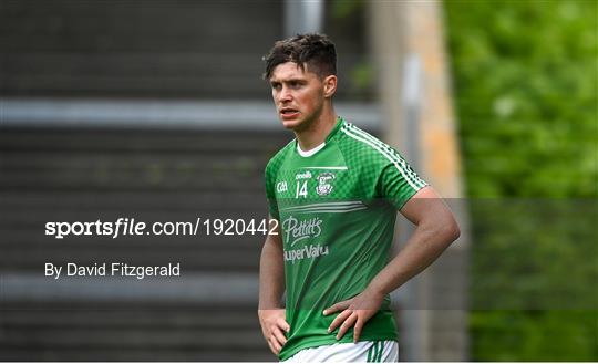 Shelmaliers v Naomh Éanna - Wexford County Senior Hurling Championship Final