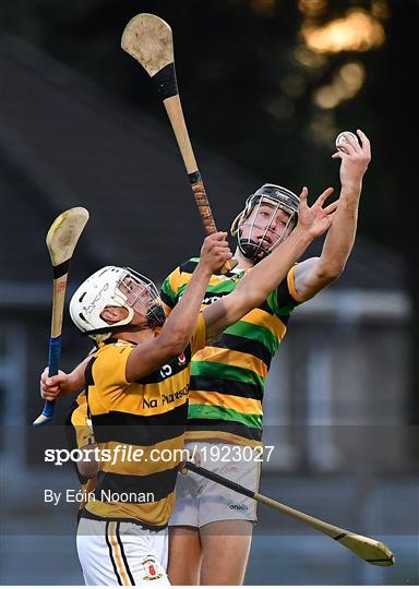 Glen Rovers v Na Piarsaigh - Cork County Senior Hurling Championship Group C Round 3