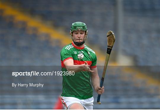 Clonoulty/Rossmore v Loughmore-Castleiney - Tipperary County Senior Hurling Championships Quarter-Final