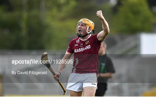 Dicksboro v O'Loughlin Gaels - Kilkenny County Senior Hurling Championship Semi-Final