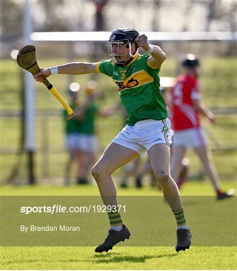 Dunloy Cuchullains v Loughgiel Shamrocks - Antrim County Senior Hurling Championship Final