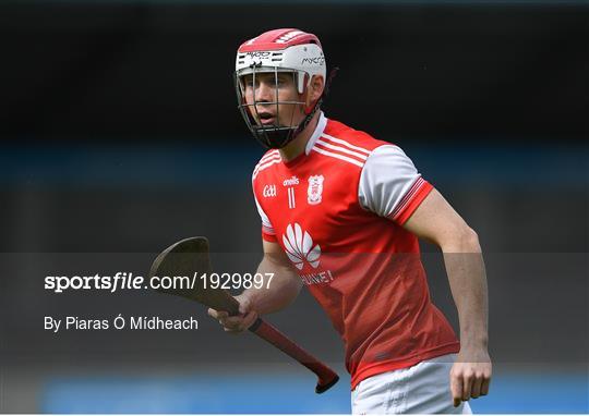 Lucan Sarsfields v Cuala - Dublin County Senior Hurling Championship Semi-Final