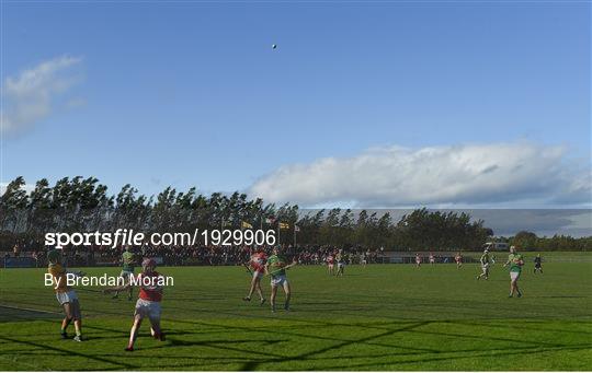 Dunloy Cuchullains v Loughgiel Shamrocks - Antrim County Senior Hurling Championship Final