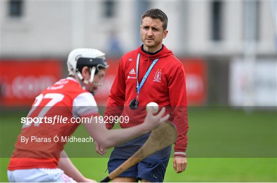 Lucan Sarsfields v Cuala - Dublin County Senior Hurling Championship Semi-Final