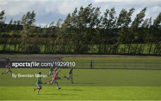 Dunloy Cuchullains v Loughgiel Shamrocks - Antrim County Senior Hurling Championship Final