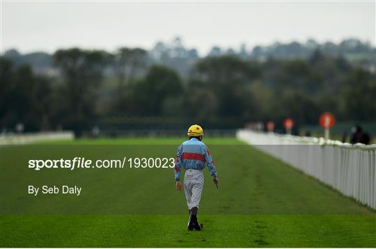 Horse Racing from Cork