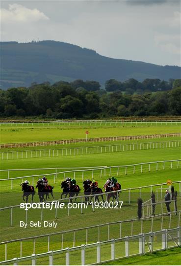 Horse Racing from Cork