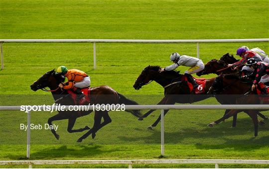 Horse Racing from Cork