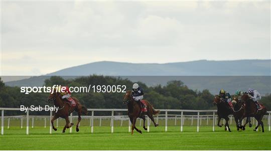 Horse Racing from Cork