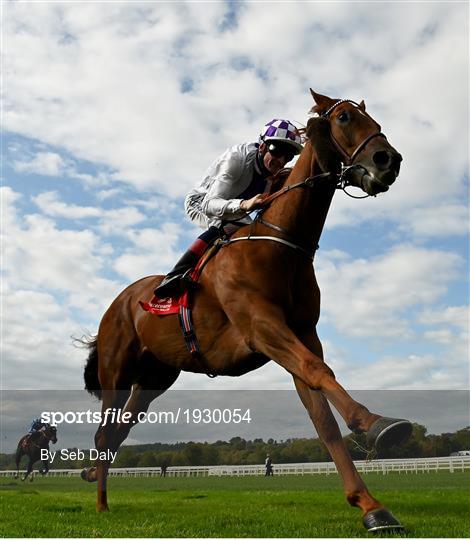 Horse Racing from Cork