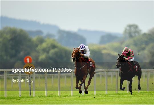 Horse Racing from Cork