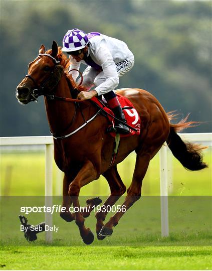 Horse Racing from Cork