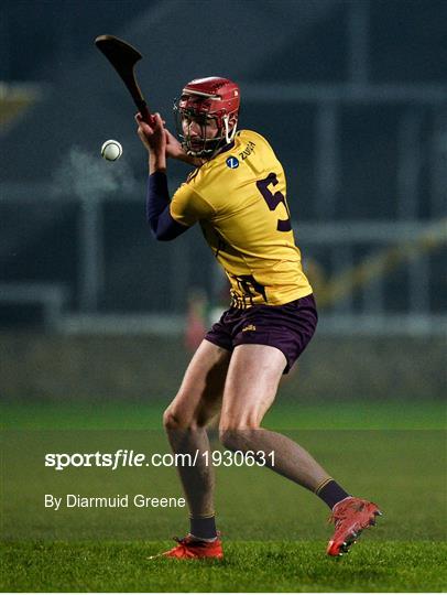 Wexford v Galway - Walsh Cup Final