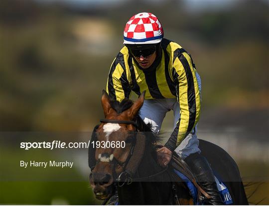 Horse Racing from Tramore