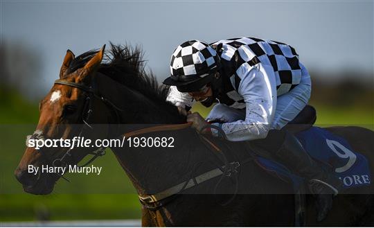 Horse Racing from Tramore Horse Racing from Tramore