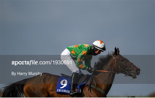 Horse Racing from Tramore