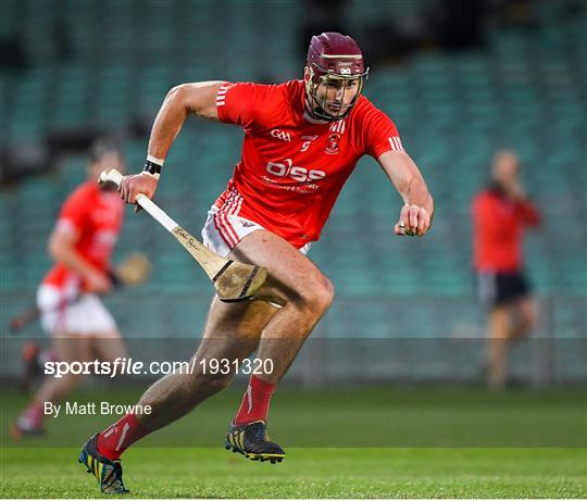 Doon v Na Piarsaigh - Limerick County Senior Hurling Championship Final