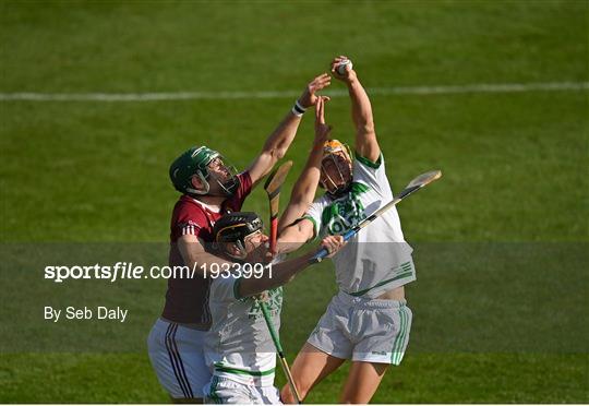 Ballyhale Shamrocks v Dicksboro - Kilkenny County Senior Hurling Championship Final