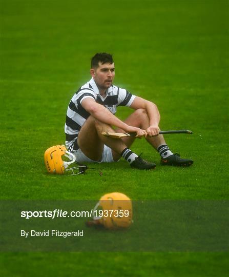 Turloughmore v St Thomas - Galway County Senior Hurling Championship Final