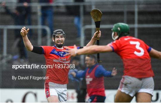 Turloughmore v St Thomas - Galway County Senior Hurling Championship Final