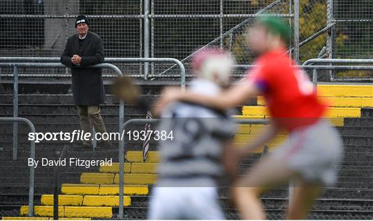 Turloughmore v St Thomas - Galway County Senior Hurling Championship Final