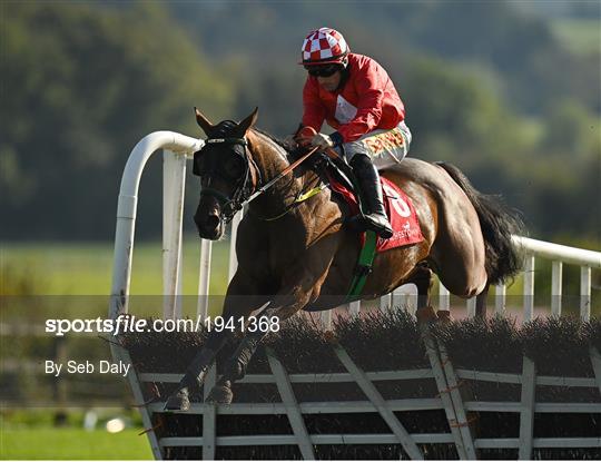 Horse Racing from Punchestown