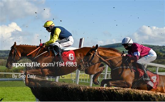 Horse Racing from Punchestown Horse Racing from Punchestown