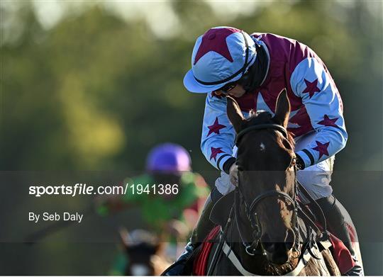 Horse Racing from Punchestown Horse Racing from Punchestown