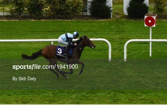 Horse Racing from Leopardstown