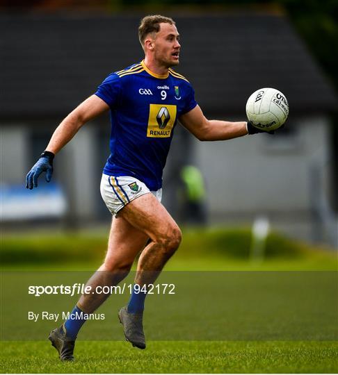 Wicklow v Antrim - Allianz Football League Division 4 Round 6