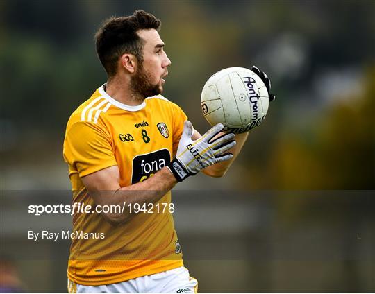 Wicklow v Antrim - Allianz Football League Division 4 Round 6