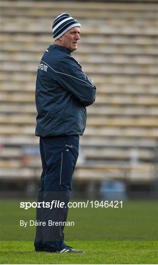 Limerick v Clare - Munster GAA Hurling Senior Championship Quarter-Final