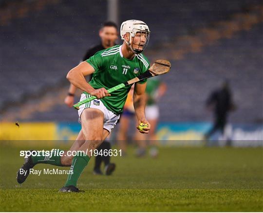 Limerick v Clare - Munster GAA Hurling Senior Championship Quarter-Final