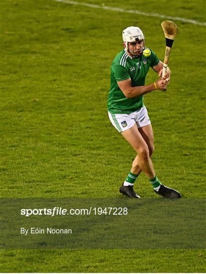 Limerick v Clare - Munster GAA Hurling Senior Championship Quarter-Final