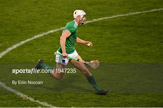 Limerick v Clare - Munster GAA Hurling Senior Championship Quarter-Final