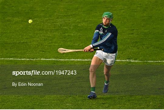 Limerick v Clare - Munster GAA Hurling Senior Championship Quarter-Final